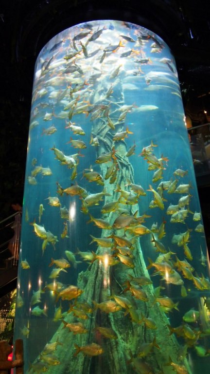 A pretty cool vertical aquarium