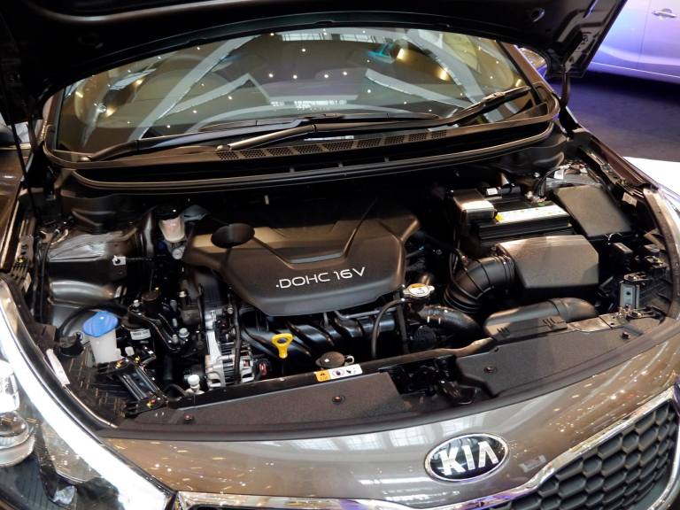 1040376_552523691460769_472084729_o