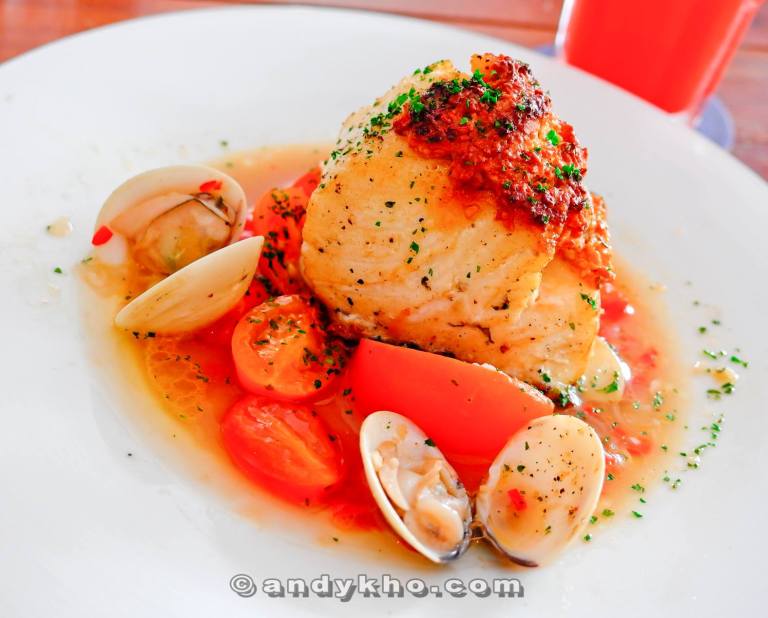 1119955_492068544194815_1128017605_o