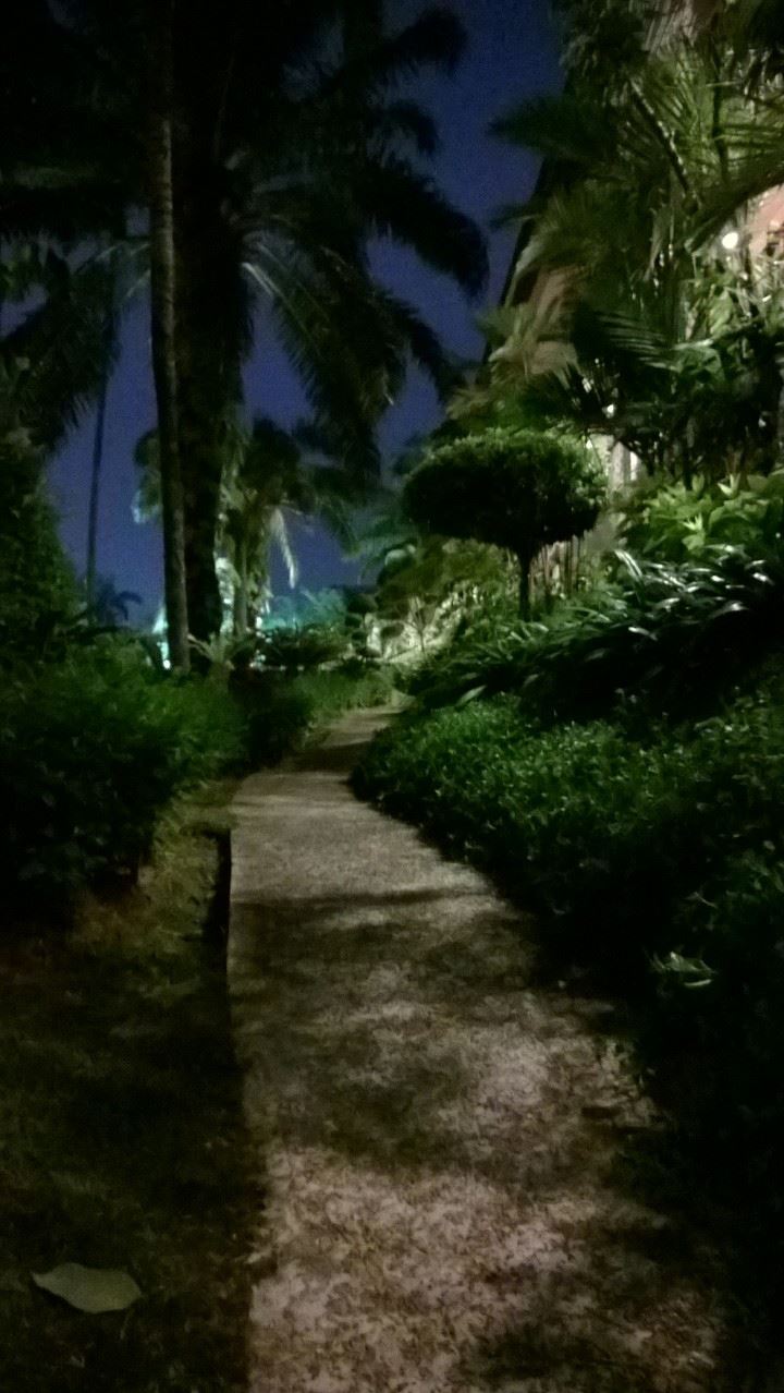 1146418_10152134147800278_1047164652_o