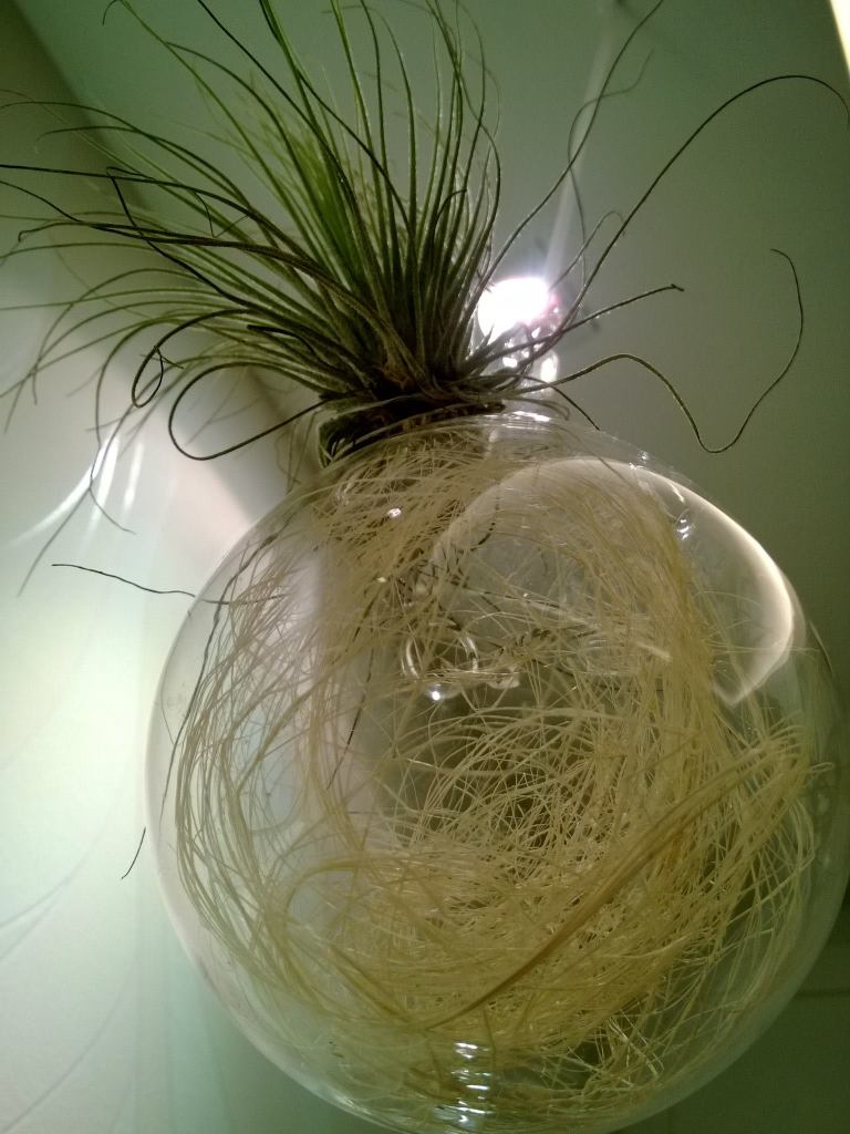 1267952_10152134148000278_1824891150_o