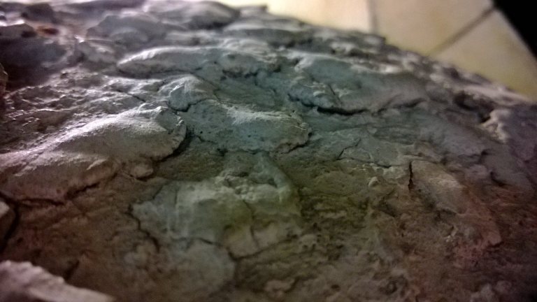 1274458_10152134147940278_1847385218_o