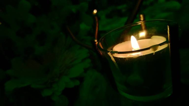 1277527_10152134147860278_684725458_o