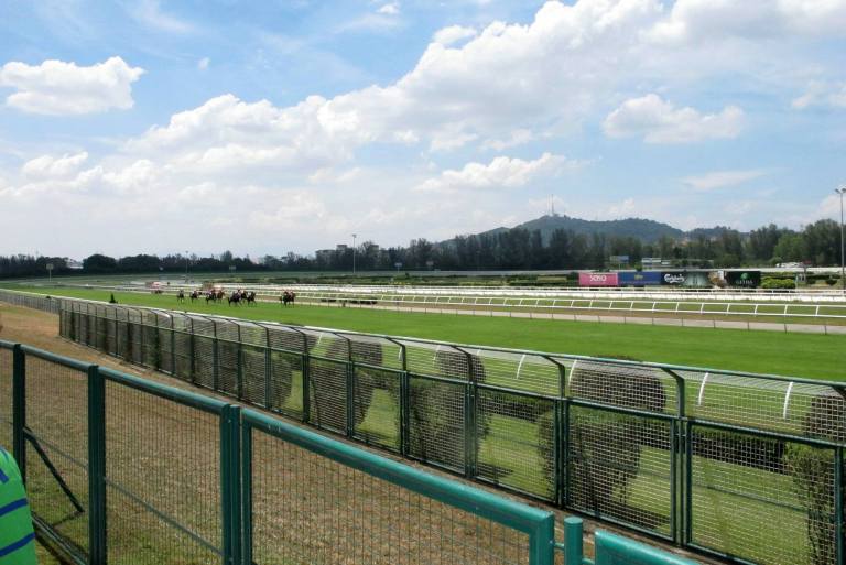 1264711_10152140139285278_950696468_o