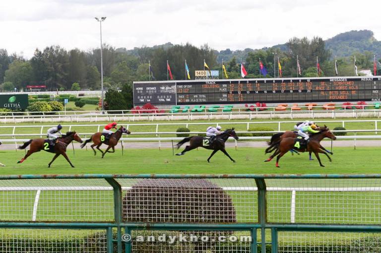 We then headed inside Hest to watch the Carlsberg Golden Success Cup