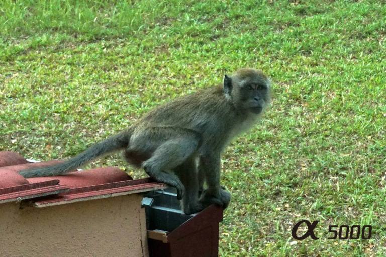 10271304_10152790915950278_967310426818181895_o