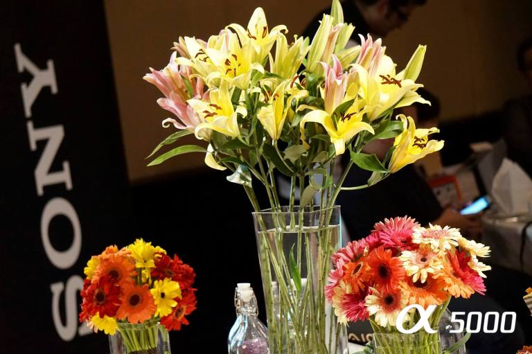 10275465_10152789024490278_1129023914185059536_o