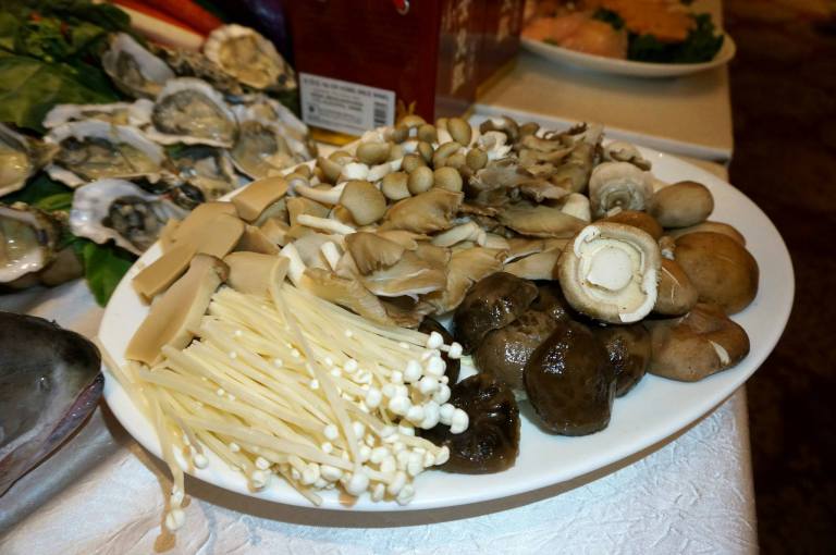 10562573_10153047925170278_1204395516142519096_o