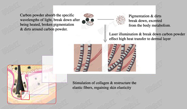 F102B1D0-E4C6-4D91-AD36-C9FB6715C428