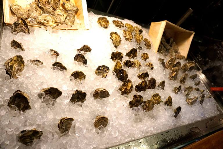 Fresh oysters!