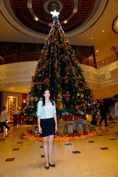 First thing we noticed when we arrived at the hotel was the tall Christmas tree in the lobby!