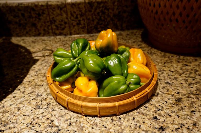 Habanero peppers! Really spicy!!!