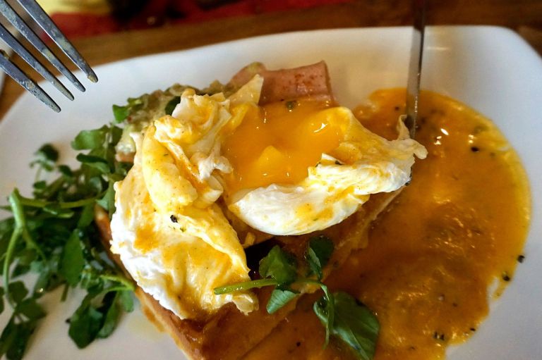 11011213_10153545802350278_6696944525396356661_o