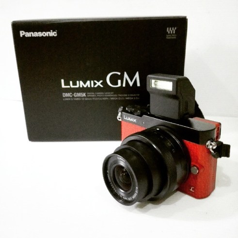 Panasonic Lumix GM5
