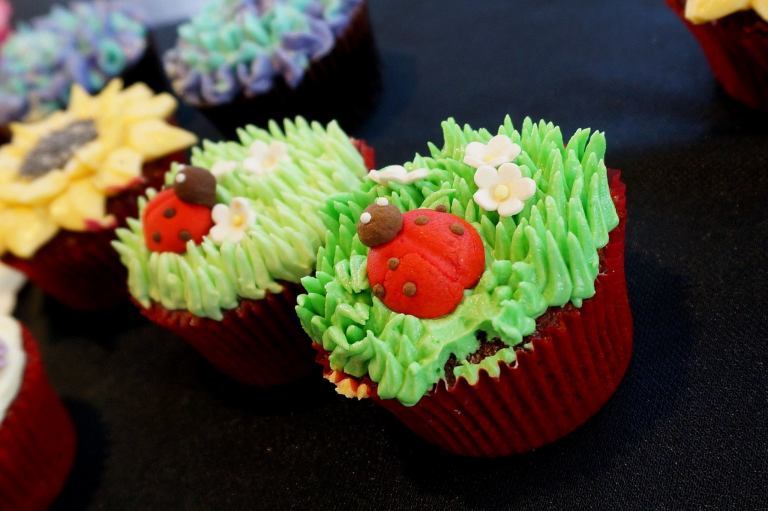 11136157_10153678871770278_7900785885345788121_o