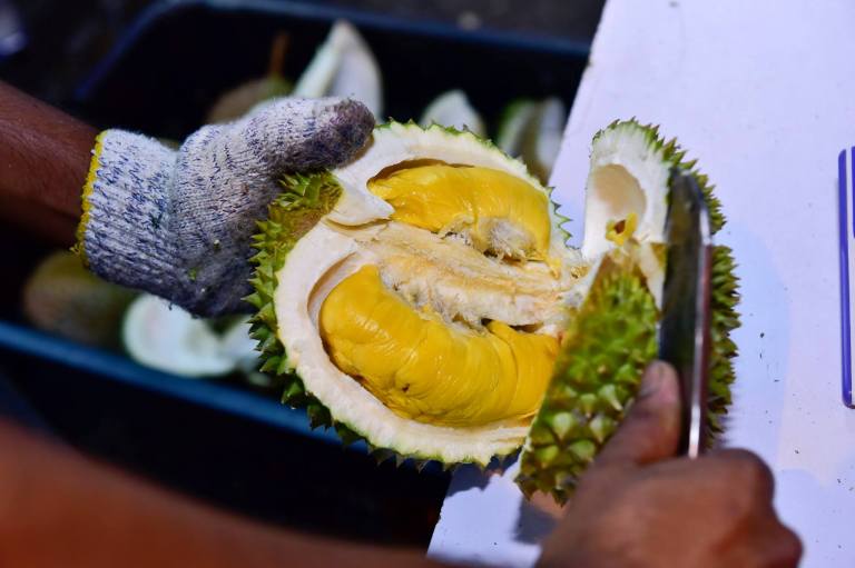 11537614_10153930230300278_8740924366498243269_o