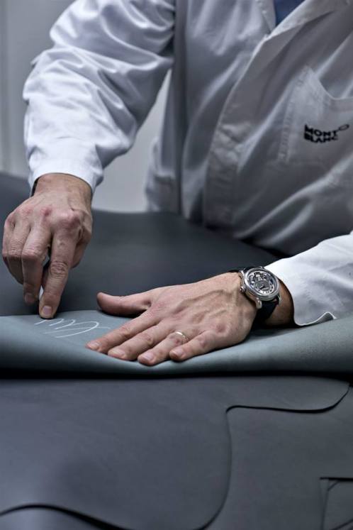 11846526_10154053433045278_7701780365459489908_n