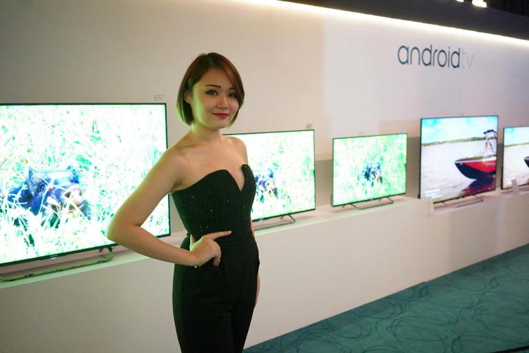 11406358_10153900579960278_2860068543816211950_o