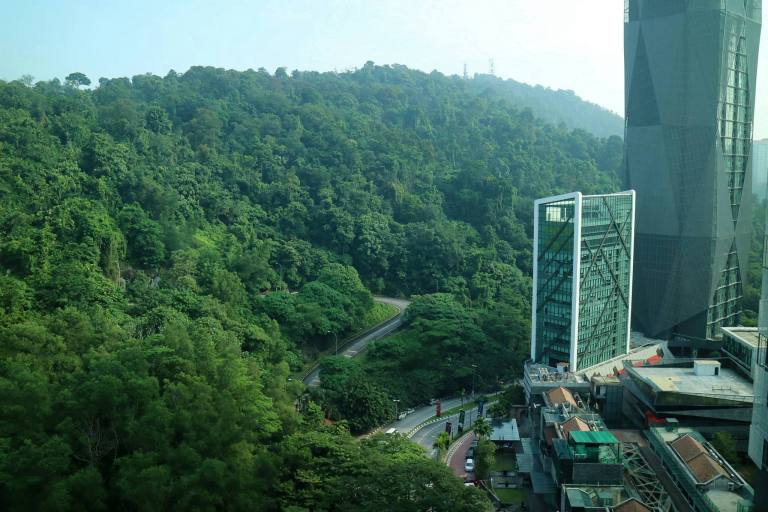 My room faced the lush greenery of the forest beside Damansara Perdana