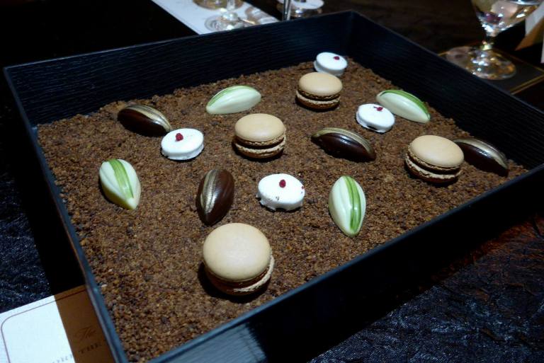 12087320_10154202710915278_2325209075667078969_o