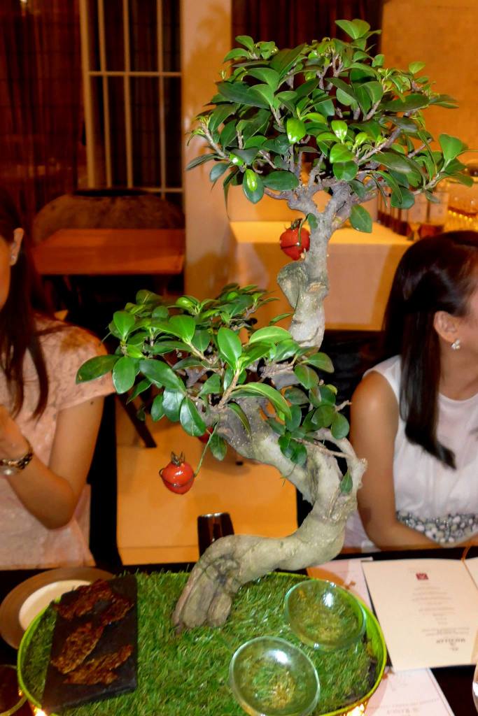 12087942_10154202705655278_5342362320492799267_o