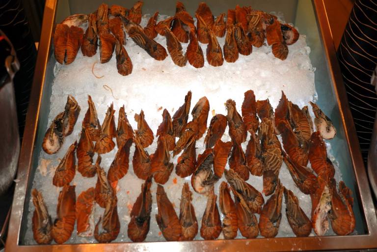 10669071_10153717307590278_8351407481629766074_o