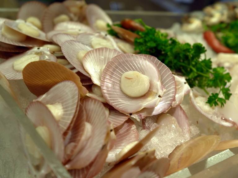 11021494_10153717306255278_6180974671447844057_o