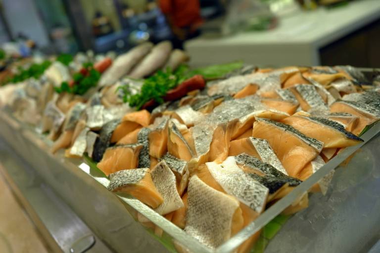 11025726_10153717305975278_6548617378092104062_o