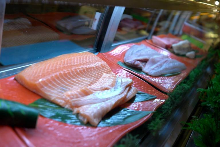 11039228_10153717307935278_261952176080088883_o