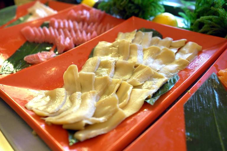 11134078_10153717307875278_3365810731652795730_o