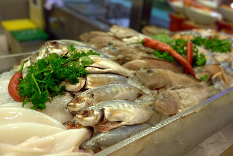 11159905_10153717306275278_5870032297642480894_o