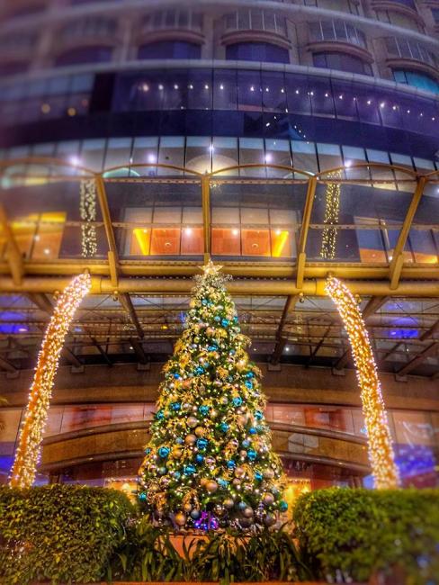 12342556_10154315863270278_7626749920170224679_n