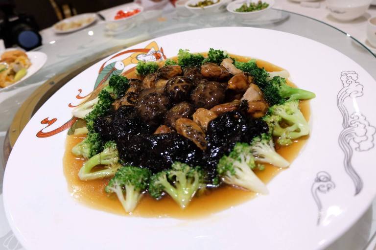 12419040_10154407503835278_6457153538408268474_o