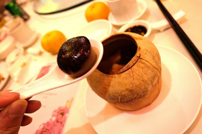 12513591_10154393350835278_7990988652959690927_o