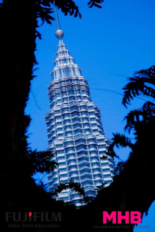 KL landmark & frame - using the trees to frame one of the Petronas Twin Towers