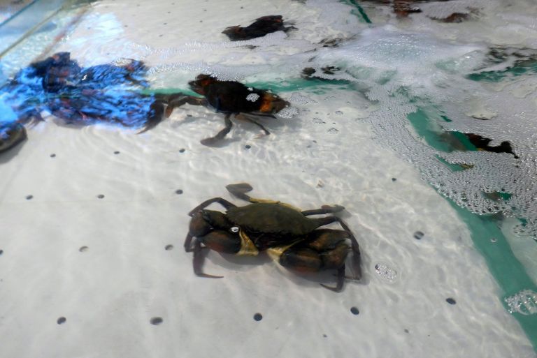 12303960_10154300271030278_9221327688204640553_o