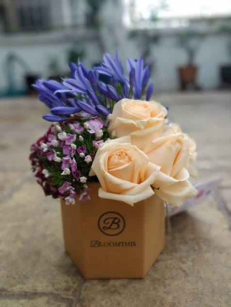 Haagen Daz Apricot Lavender Lychee Raspberry Rose (5)