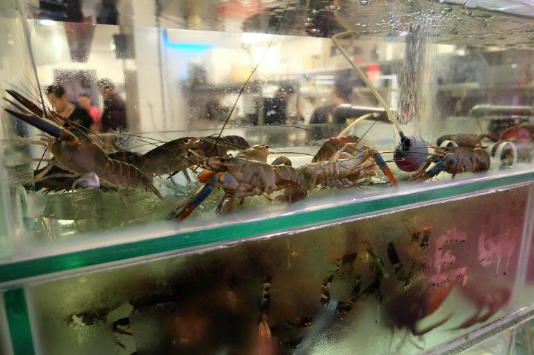 Brolly Crab Factory Menara Felda Kuala Lumpur (3)