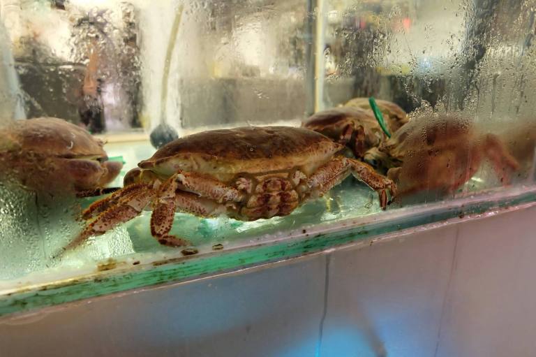 Brolly Crab Factory Menara Felda Kuala Lumpur (5)