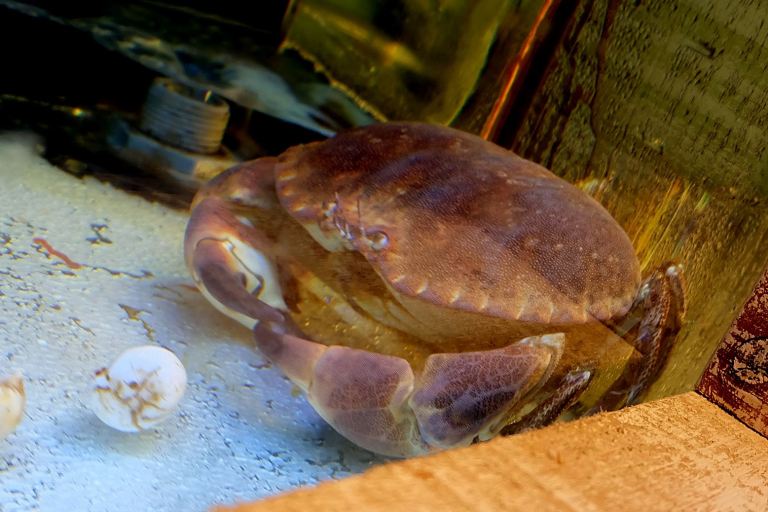 Oyster Masterclass at Southern Rock Seafood (13)