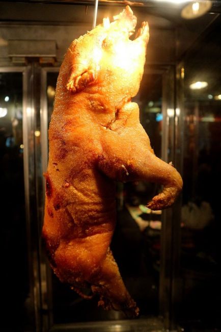 13923383_1377109785651700_5827488819451769169_o