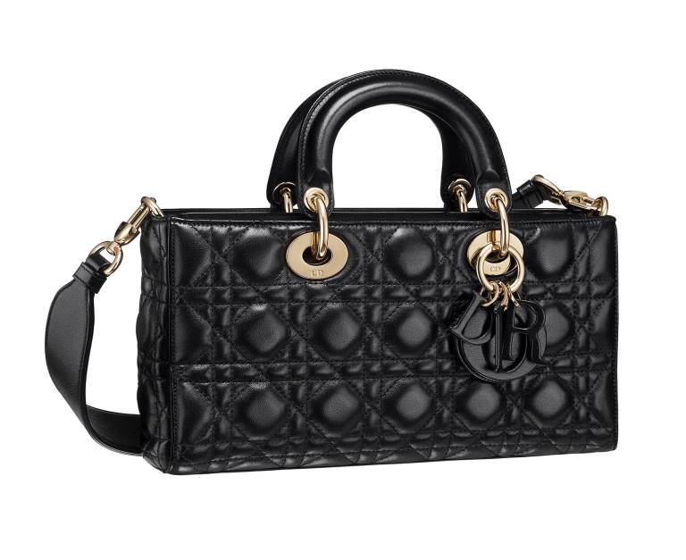 DIOR Runway Bag 2016 (15)