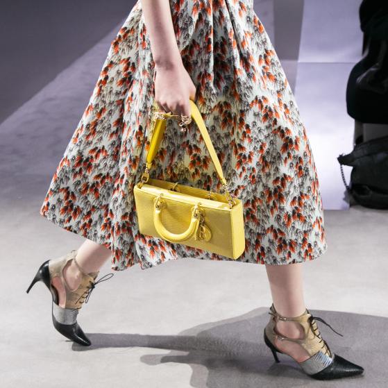 DIOR Runway Bag 2016 (2)