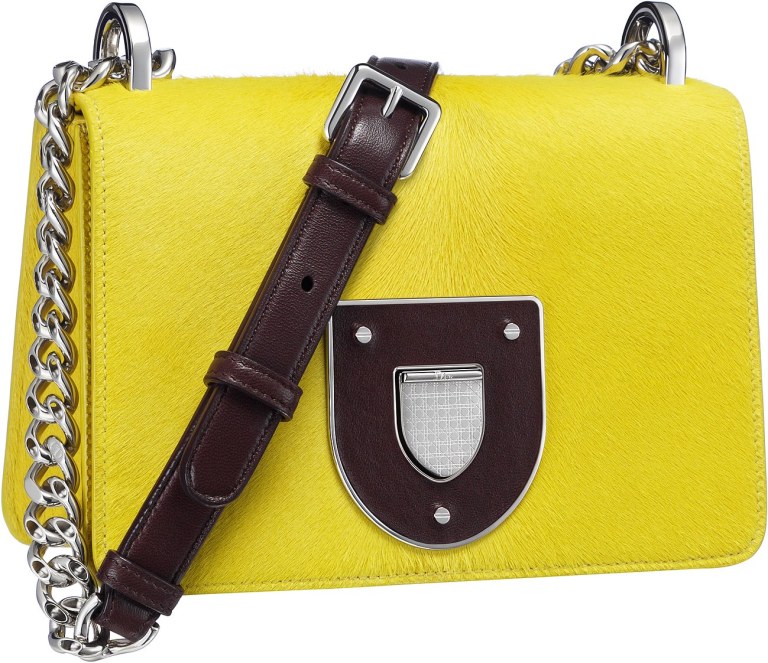 dior-autumn-winter-2016-bags-21