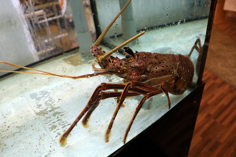 migf-yezi-the-roof-bandar-utama-2