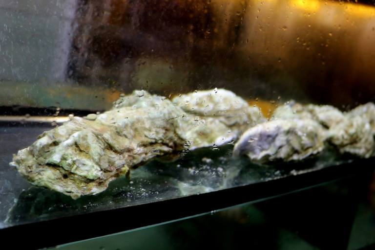 migf-yezi-the-roof-bandar-utama-7