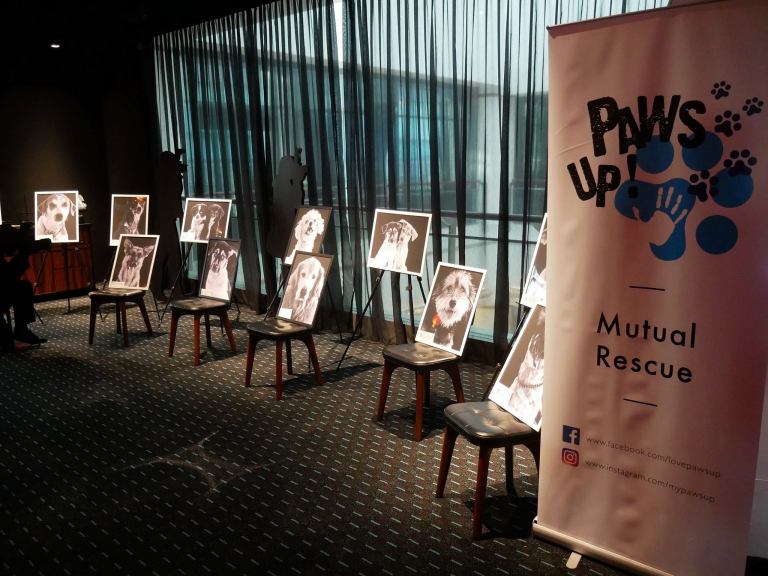 15800526_10155602523340278_3933852761236836561_o