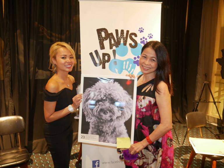 15895745_10155602518215278_5907868768380863772_o