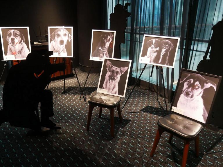 15895993_10155602523700278_2364080062620855937_o