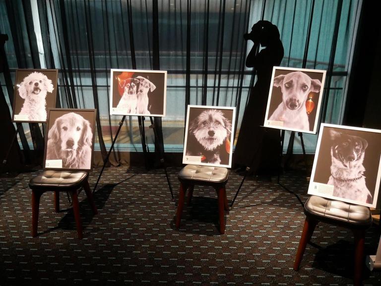 15972392_10155602523995278_3819189824403298715_o